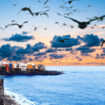 spain's new startup law