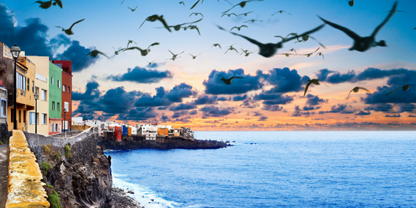 Spain's new startup law